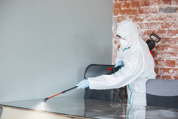 Best Crawl Space Mold Remediation  in Ketchikan, AK